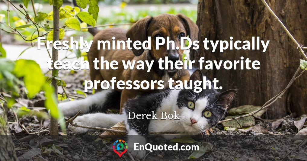 Freshly minted Ph.Ds typically teach the way their favorite professors taught.