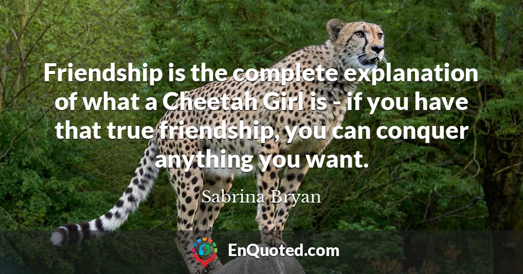 Friendship is the complete explanation of what a Cheetah Girl is - if you have that true friendship, you can conquer anything you want.