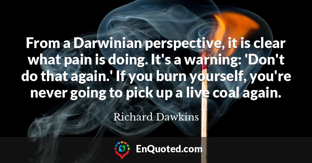 From a Darwinian perspective, it is clear what pain is doing. It's a warning: 'Don't do that again.' If you burn yourself, you're never going to pick up a live coal again.