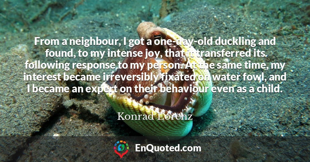 From a neighbour, I got a one-day-old duckling and found, to my intense joy, that it transferred its following response to my person. At the same time, my interest became irreversibly fixated on water fowl, and I became an expert on their behaviour even as a child.