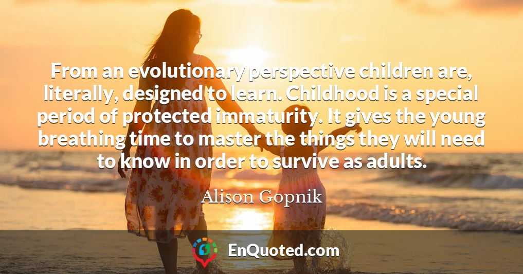 From an evolutionary perspective children are, literally, designed to learn. Childhood is a special period of protected immaturity. It gives the young breathing time to master the things they will need to know in order to survive as adults.