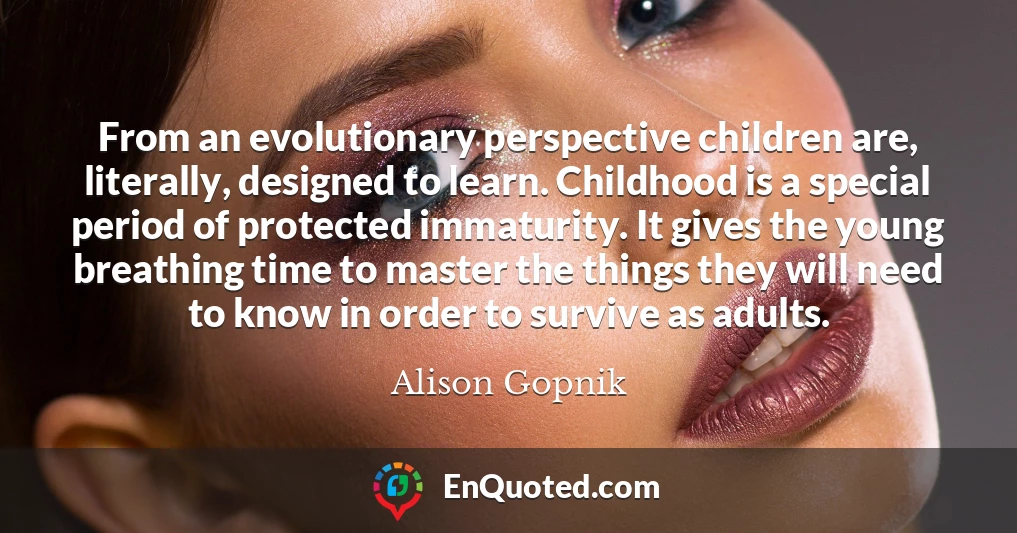 From an evolutionary perspective children are, literally, designed to learn. Childhood is a special period of protected immaturity. It gives the young breathing time to master the things they will need to know in order to survive as adults.