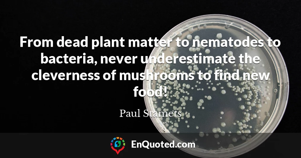 From dead plant matter to nematodes to bacteria, never underestimate the cleverness of mushrooms to find new food!