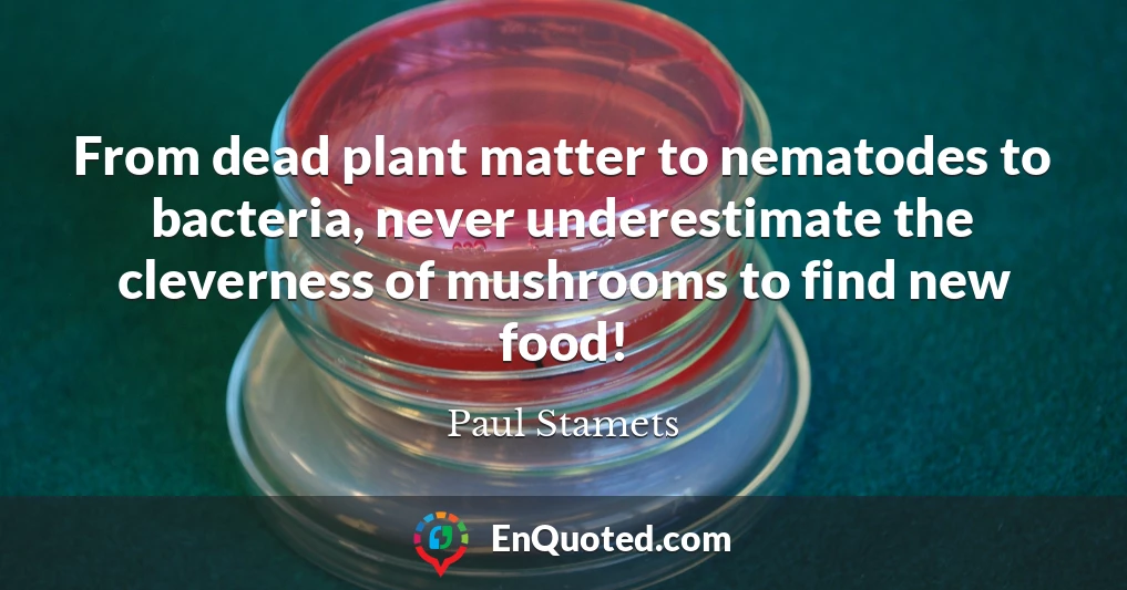 From dead plant matter to nematodes to bacteria, never underestimate the cleverness of mushrooms to find new food!