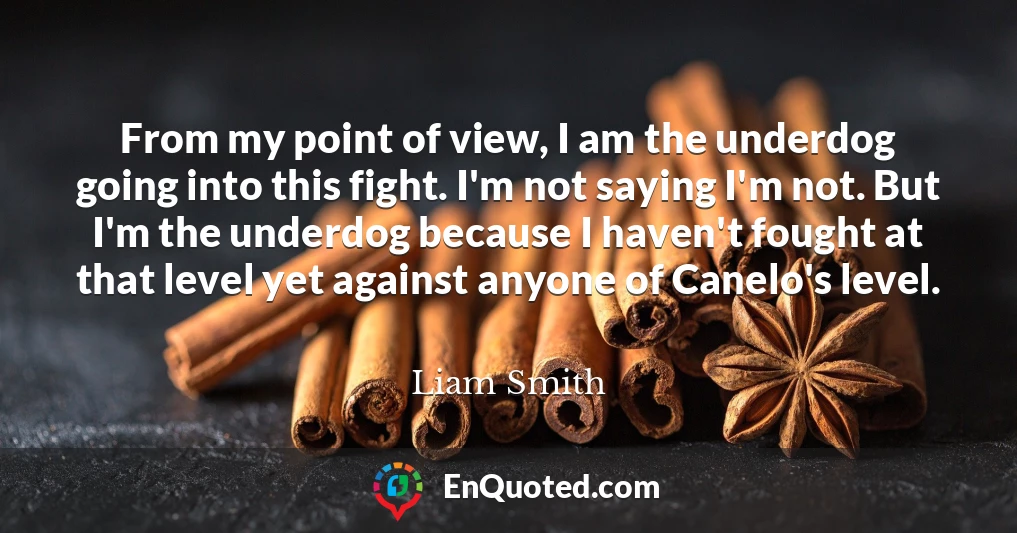 From my point of view, I am the underdog going into this fight. I'm not saying I'm not. But I'm the underdog because I haven't fought at that level yet against anyone of Canelo's level.