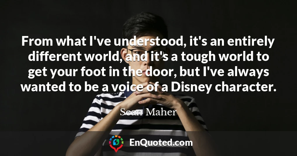 From what I've understood, it's an entirely different world, and it's a tough world to get your foot in the door, but I've always wanted to be a voice of a Disney character.
