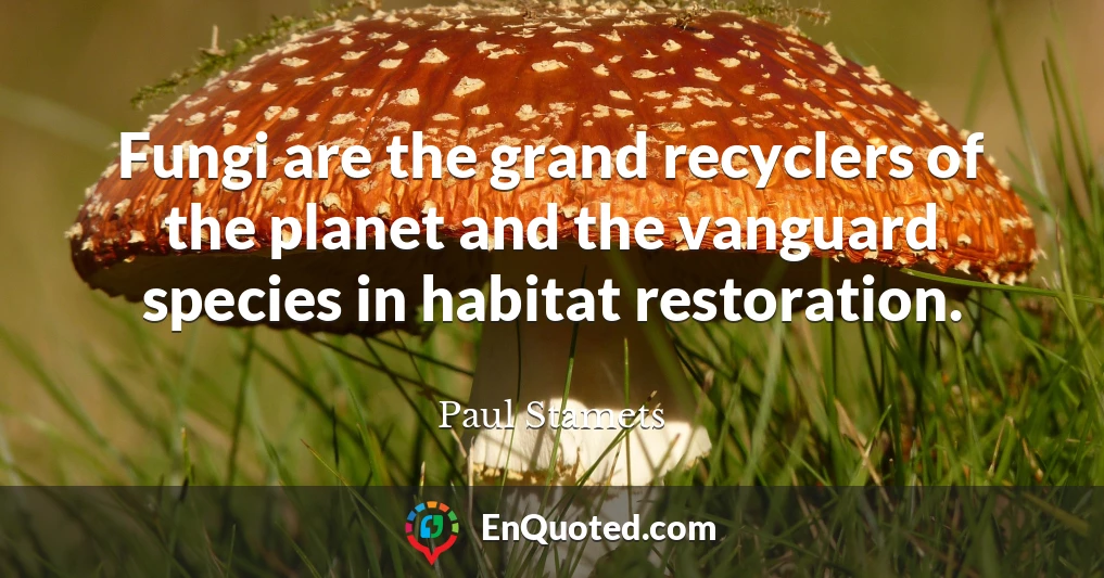 Fungi are the grand recyclers of the planet and the vanguard species in habitat restoration.