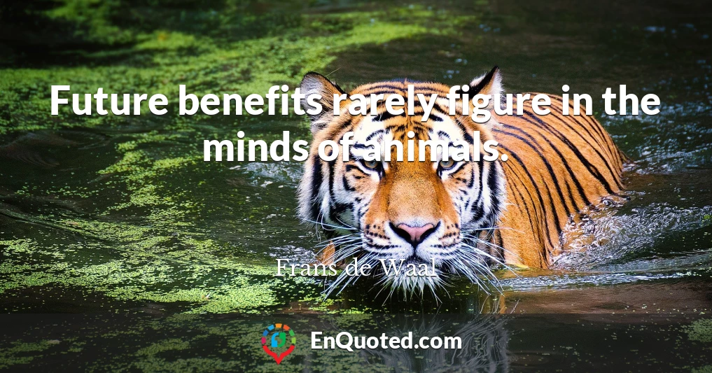 Future benefits rarely figure in the minds of animals.