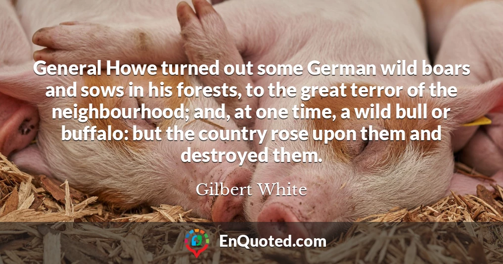 General Howe turned out some German wild boars and sows in his forests, to the great terror of the neighbourhood; and, at one time, a wild bull or buffalo: but the country rose upon them and destroyed them.