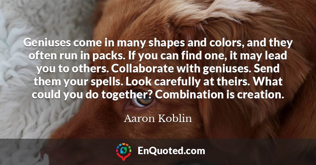 Geniuses come in many shapes and colors, and they often run in packs. If you can find one, it may lead you to others. Collaborate with geniuses. Send them your spells. Look carefully at theirs. What could you do together? Combination is creation.