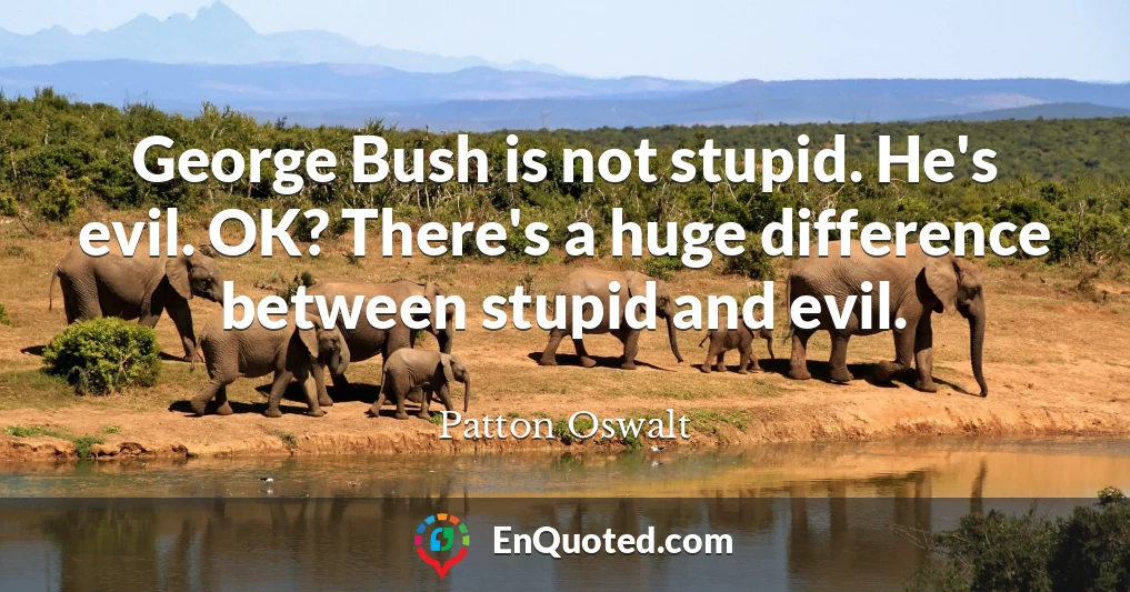George Bush is not stupid. He's evil. OK? There's a huge difference between stupid and evil.