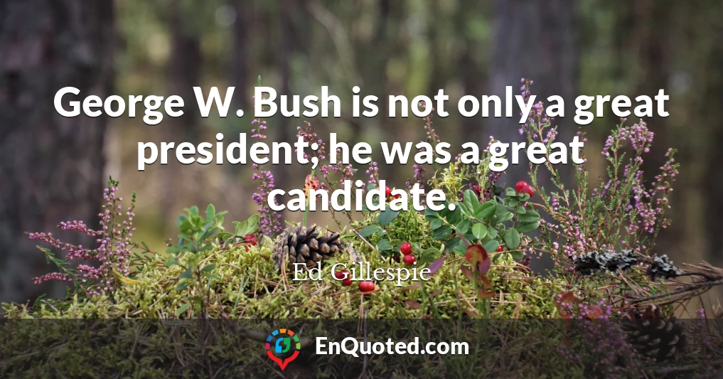 George W. Bush is not only a great president; he was a great candidate.