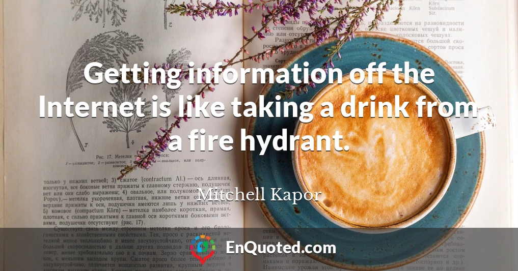 Getting information off the Internet is like taking a drink from a fire hydrant.