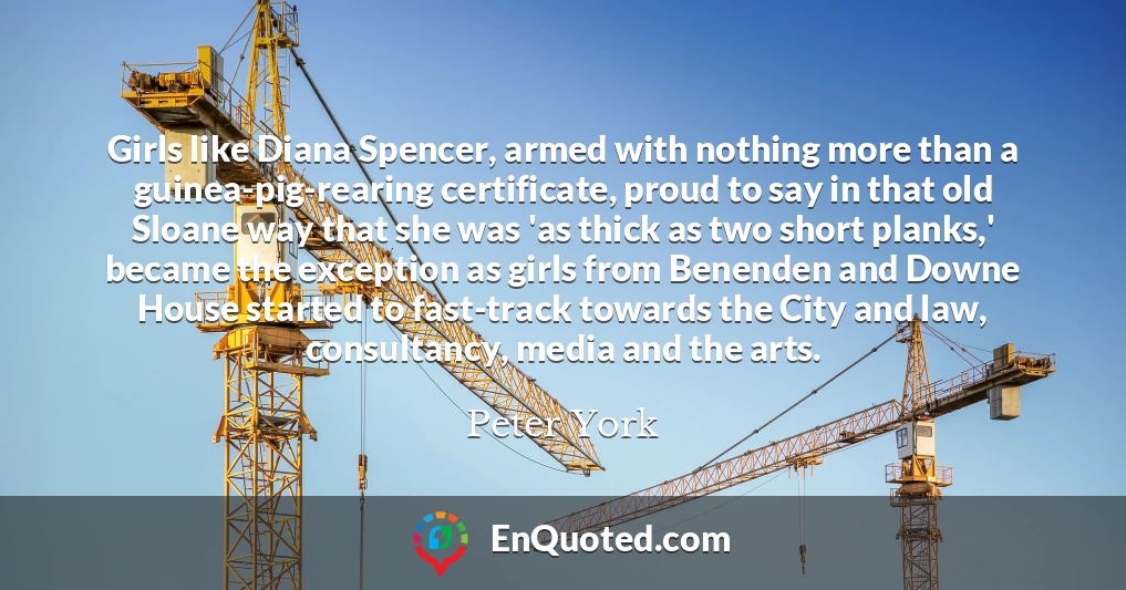 Girls like Diana Spencer, armed with nothing more than a guinea-pig-rearing certificate, proud to say in that old Sloane way that she was 'as thick as two short planks,' became the exception as girls from Benenden and Downe House started to fast-track towards the City and law, consultancy, media and the arts.