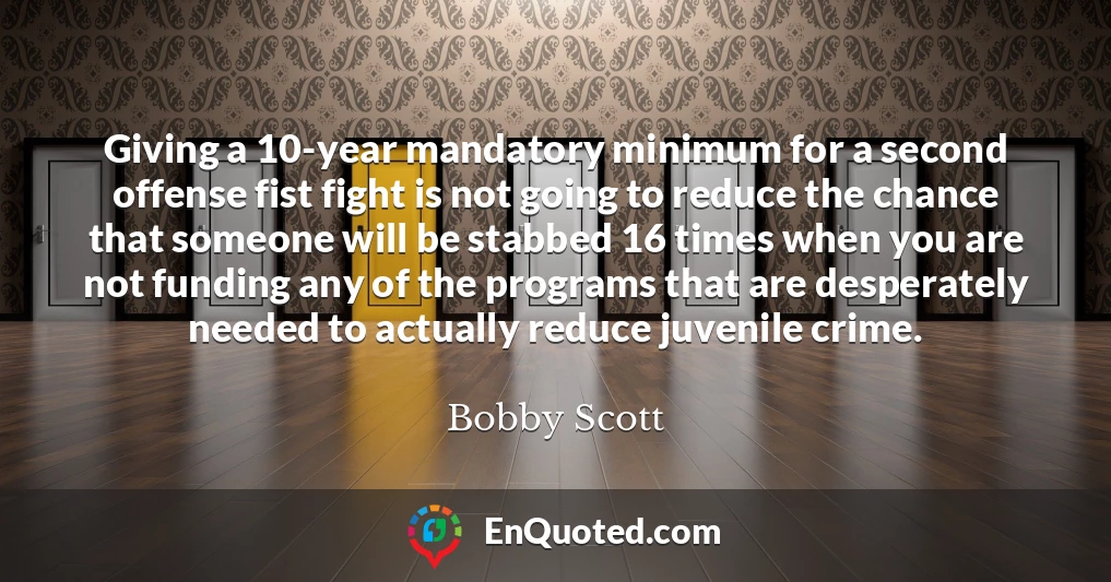Giving a 10-year mandatory minimum for a second offense fist fight is not going to reduce the chance that someone will be stabbed 16 times when you are not funding any of the programs that are desperately needed to actually reduce juvenile crime.