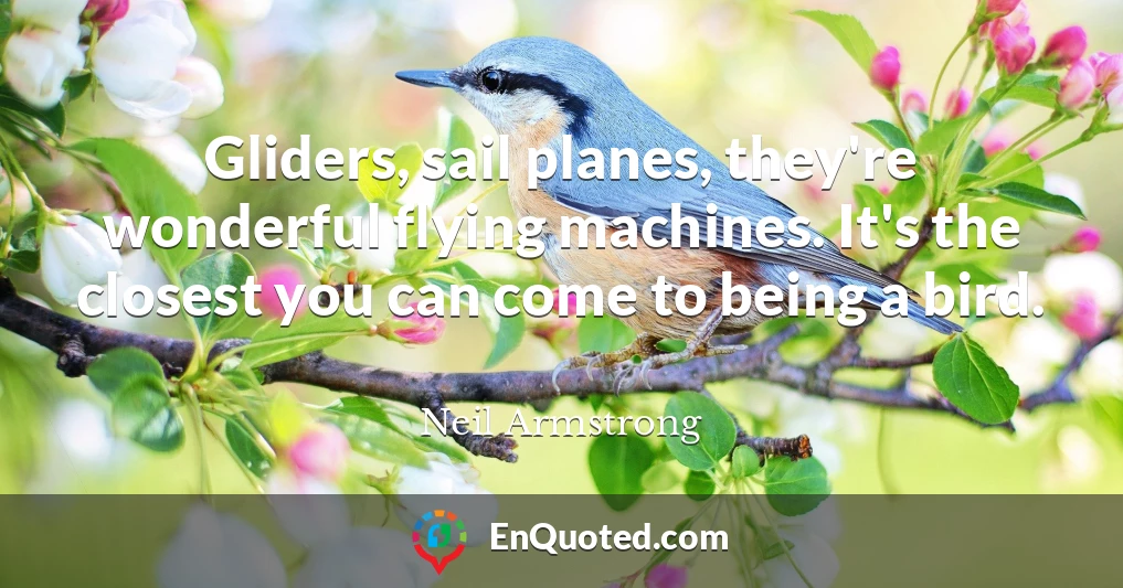 Gliders, sail planes, they're wonderful flying machines. It's the closest you can come to being a bird.