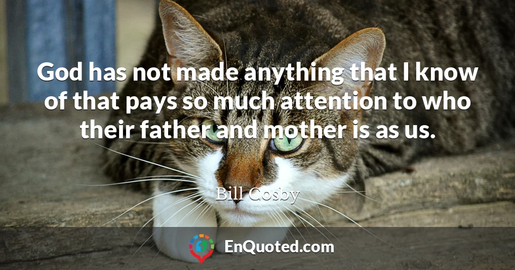 God has not made anything that I know of that pays so much attention to who their father and mother is as us.