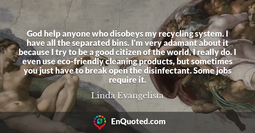 God help anyone who disobeys my recycling system. I have all the separated bins. I'm very adamant about it because I try to be a good citizen of the world, I really do. I even use eco-friendly cleaning products, but sometimes you just have to break open the disinfectant. Some jobs require it.