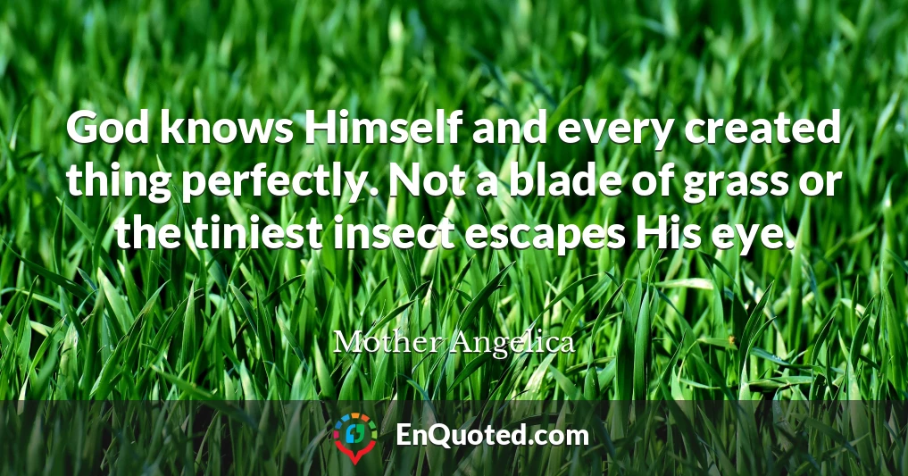 God knows Himself and every created thing perfectly. Not a blade of grass or the tiniest insect escapes His eye.