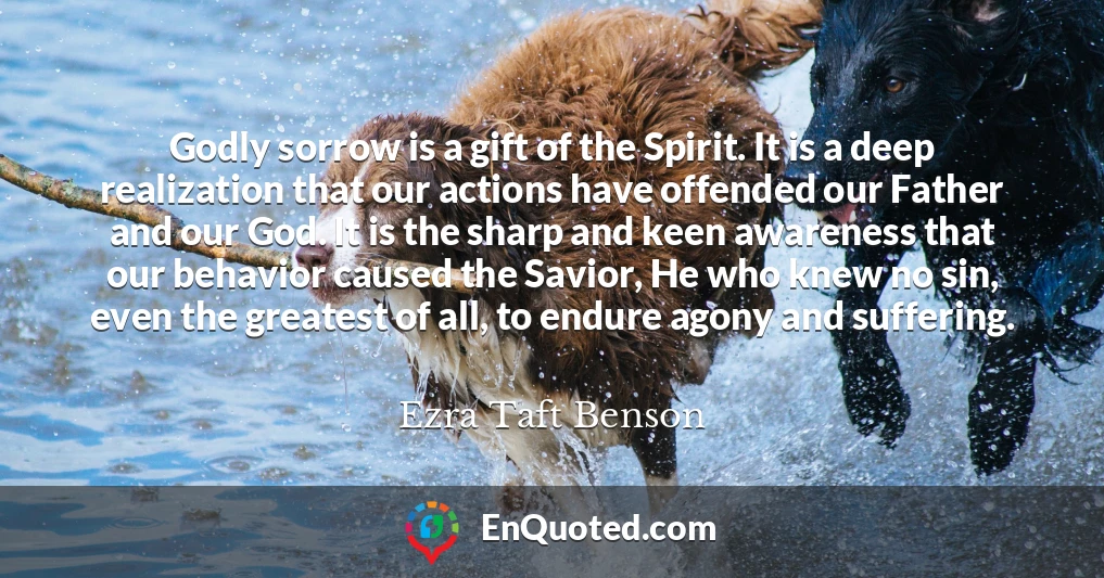 Godly sorrow is a gift of the Spirit. It is a deep realization that our actions have offended our Father and our God. It is the sharp and keen awareness that our behavior caused the Savior, He who knew no sin, even the greatest of all, to endure agony and suffering.