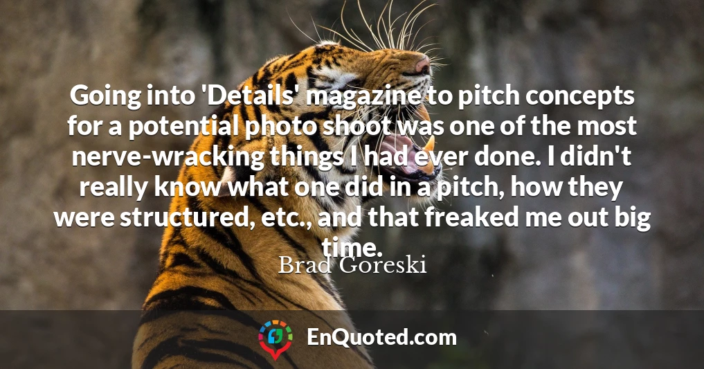 Going into 'Details' magazine to pitch concepts for a potential photo shoot was one of the most nerve-wracking things I had ever done. I didn't really know what one did in a pitch, how they were structured, etc., and that freaked me out big time.