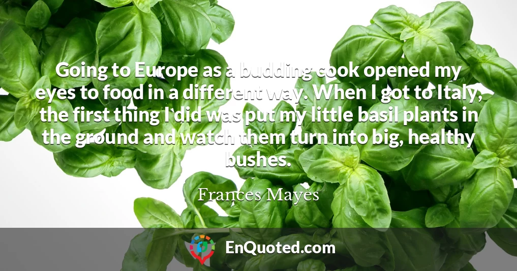 Going to Europe as a budding cook opened my eyes to food in a different way. When I got to Italy, the first thing I did was put my little basil plants in the ground and watch them turn into big, healthy bushes.