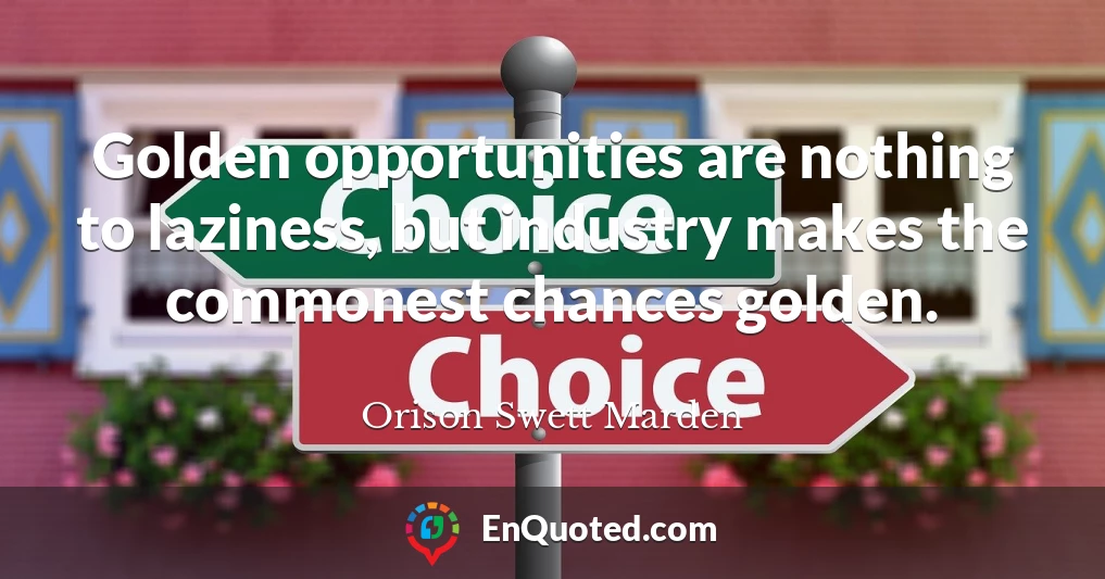 Golden opportunities are nothing to laziness, but industry makes the commonest chances golden.