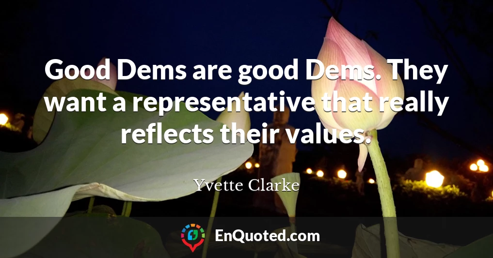 Good Dems are good Dems. They want a representative that really reflects their values.