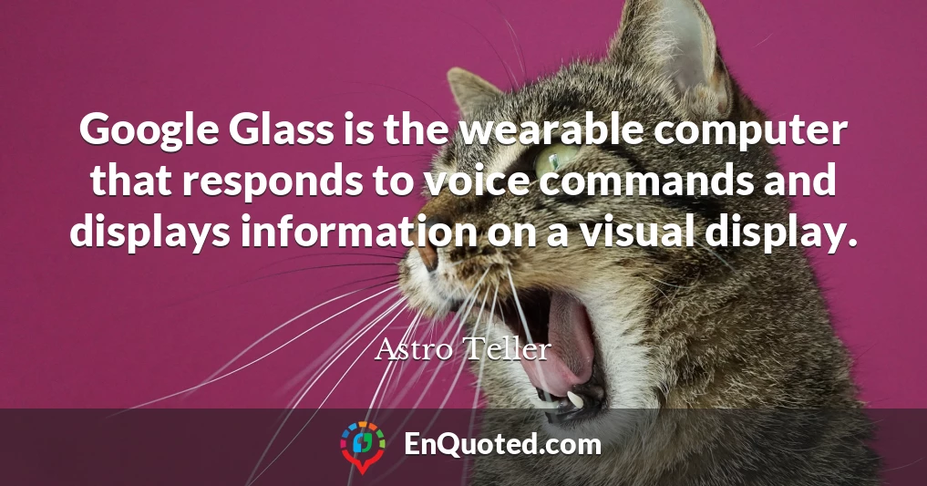 Google Glass is the wearable computer that responds to voice commands and displays information on a visual display.