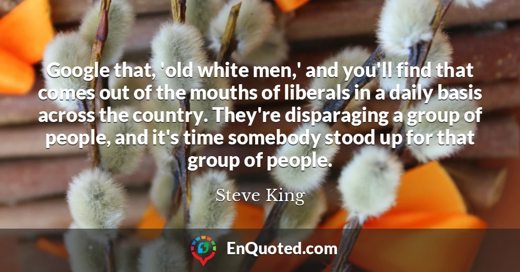 Google that, 'old white men,' and you'll find that comes out of the mouths of liberals in a daily basis across the country. They're disparaging a group of people, and it's time somebody stood up for that group of people.