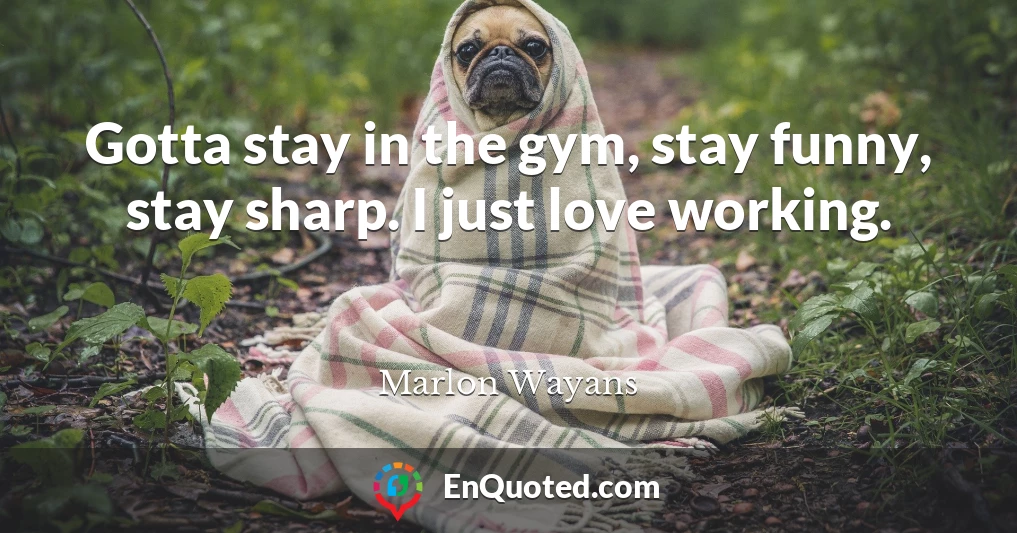 Gotta stay in the gym, stay funny, stay sharp. I just love working.