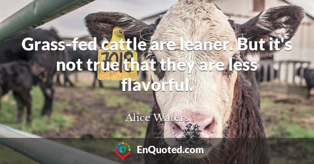 Grass-fed cattle are leaner. But it's not true that they are less flavorful.