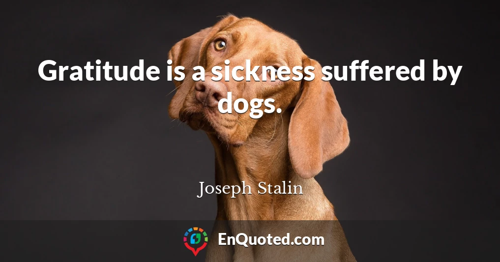 Gratitude is a sickness suffered by dogs.
