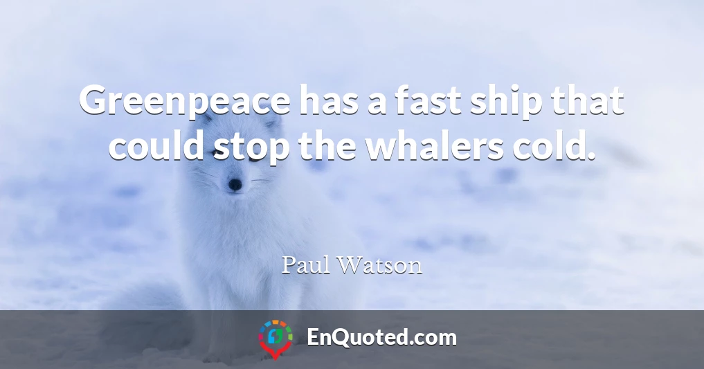 Greenpeace has a fast ship that could stop the whalers cold.