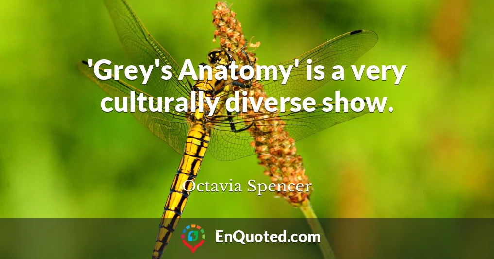 'Grey's Anatomy' is a very culturally diverse show.