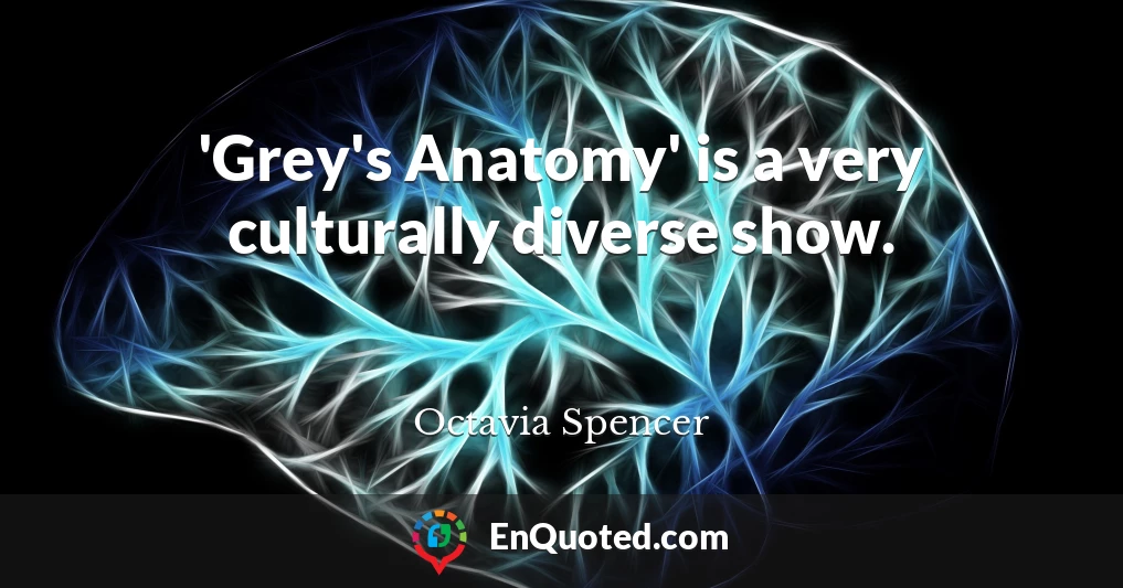 'Grey's Anatomy' is a very culturally diverse show.