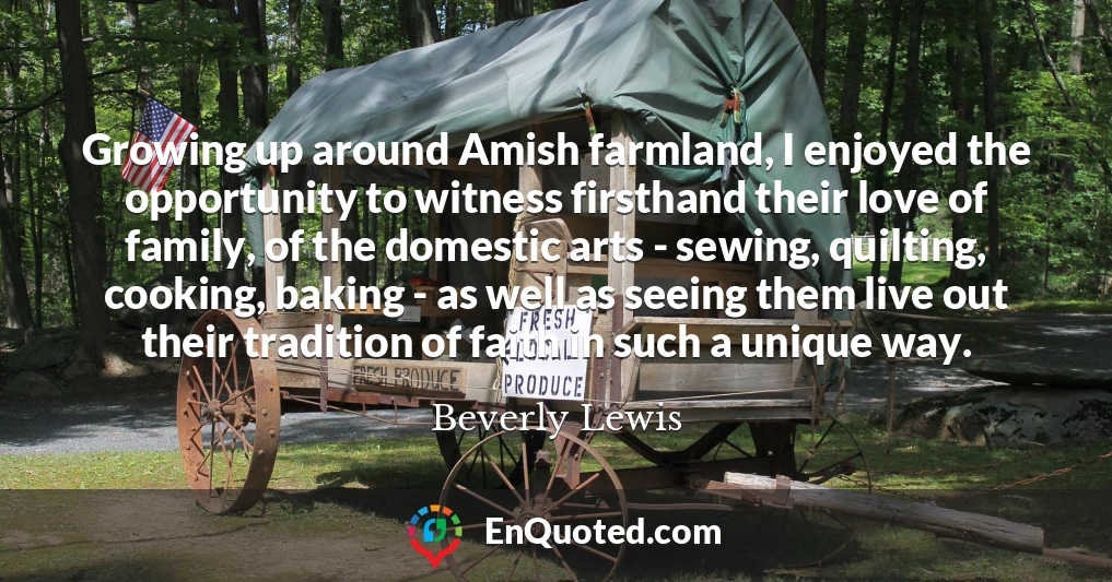 Growing up around Amish farmland, I enjoyed the opportunity to witness firsthand their love of family, of the domestic arts - sewing, quilting, cooking, baking - as well as seeing them live out their tradition of faith in such a unique way.