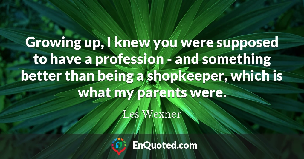 Growing up, I knew you were supposed to have a profession - and something better than being a shopkeeper, which is what my parents were.