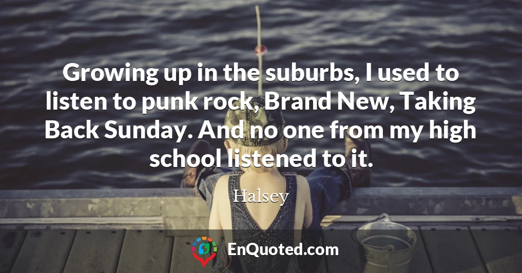 Growing up in the suburbs, I used to listen to punk rock, Brand New, Taking Back Sunday. And no one from my high school listened to it.