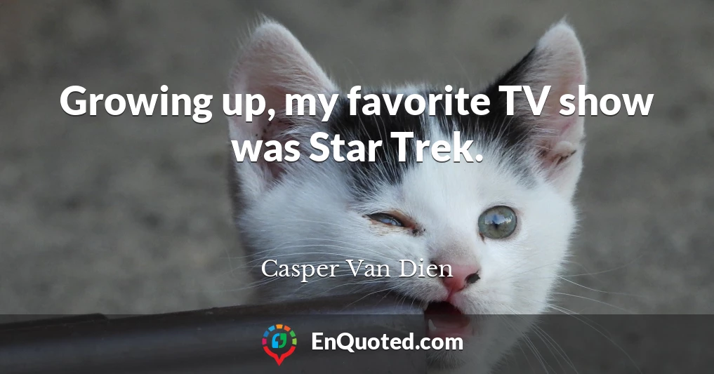 Growing up, my favorite TV show was Star Trek.