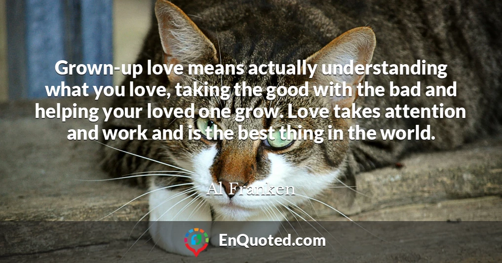 Grown-up love means actually understanding what you love, taking the good with the bad and helping your loved one grow. Love takes attention and work and is the best thing in the world.