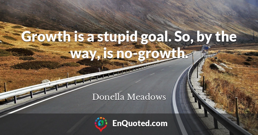 Growth is a stupid goal. So, by the way, is no-growth.
