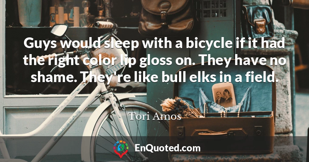 Guys would sleep with a bicycle if it had the right color lip gloss on. They have no shame. They're like bull elks in a field.