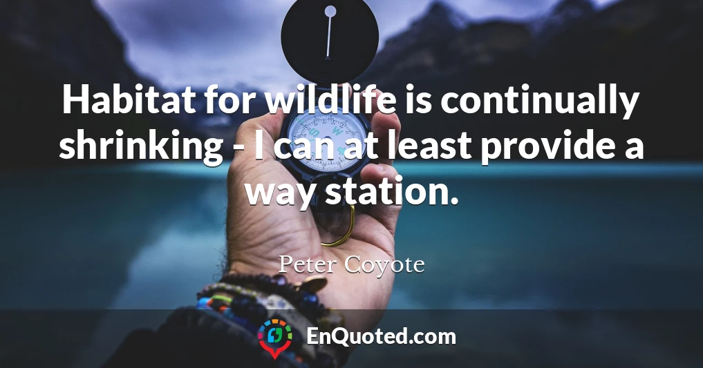 Habitat for wildlife is continually shrinking - I can at least provide a way station.