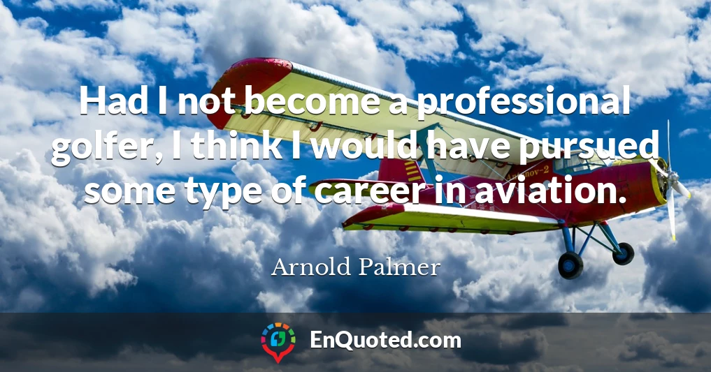 Had I not become a professional golfer, I think I would have pursued some type of career in aviation.