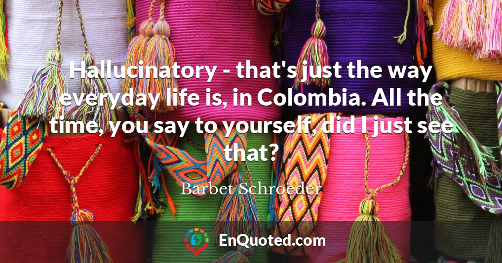 Hallucinatory - that's just the way everyday life is, in Colombia. All the time, you say to yourself, did I just see that?