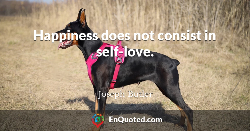 Happiness does not consist in self-love.