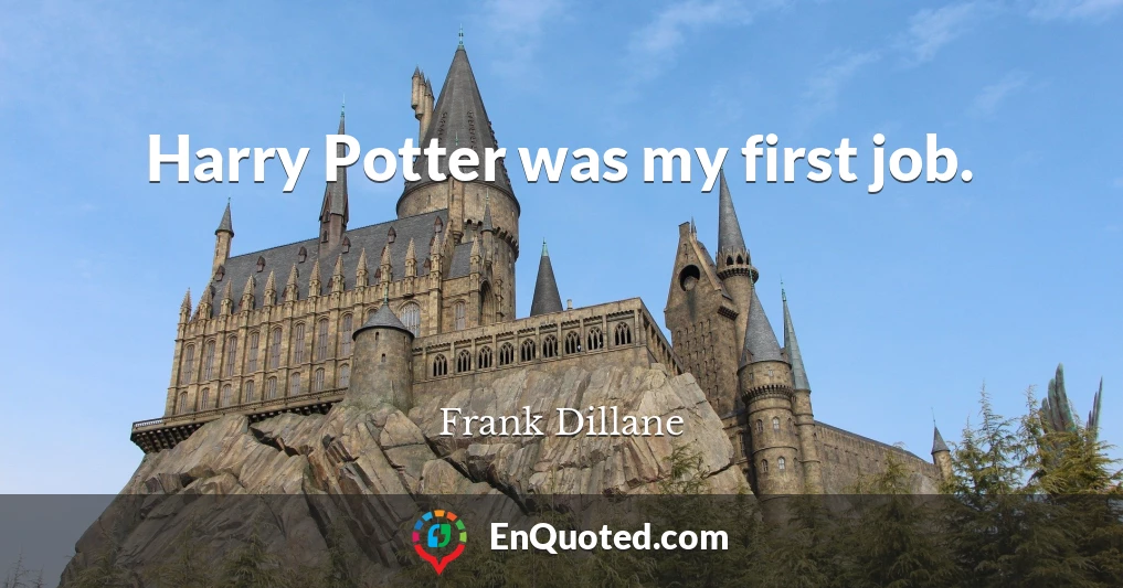 Harry Potter was my first job.