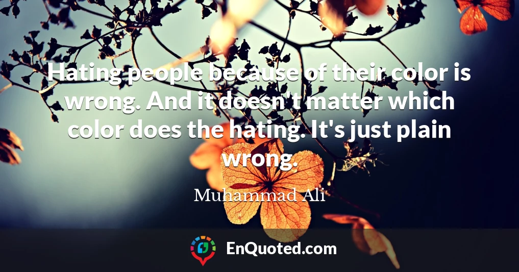 Hating people because of their color is wrong. And it doesn't matter which color does the hating. It's just plain wrong.