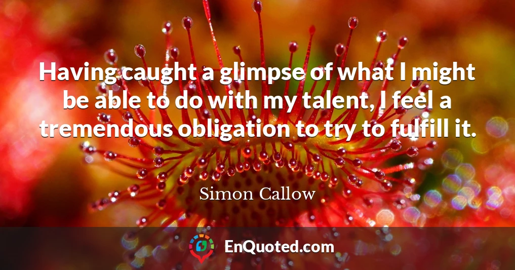 Having caught a glimpse of what I might be able to do with my talent, I feel a tremendous obligation to try to fulfill it.